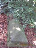 image of grave number 366114